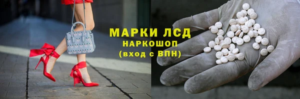 спиды Новозыбков