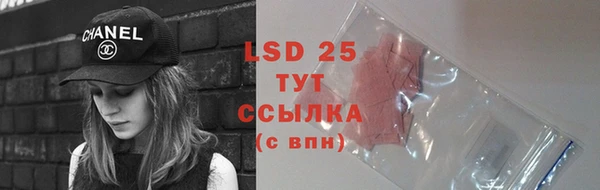 винт Нея