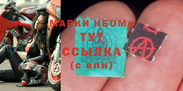 спиды Новозыбков
