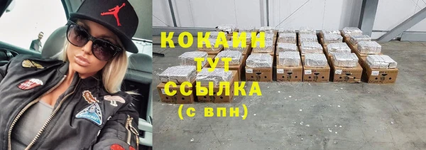 спиды Новозыбков